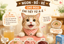 CẨM NANG LÀM PATE HOMEMADE “NGON-BỔ-RẺ” CHO BOSS: CHI TIẾT TỪ A-Z