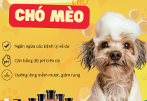 TẦM QUAN TRỌNG CỦA VIỆC CHỌN ĐÚNG SỮA TẮM CHO CHÓ MÈO 