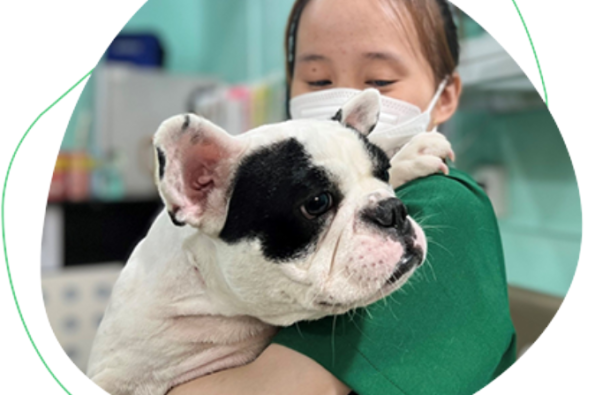 CÔNG TY TNHH THƯƠNG MẠI YUTRUST